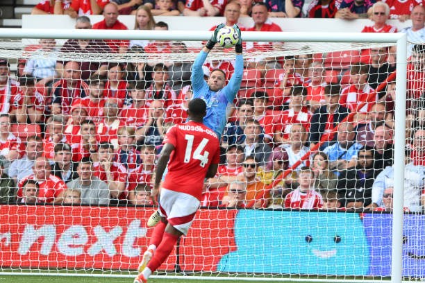 全球视野下 全球视野下